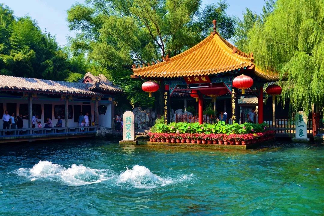 济南名士多网络科技有限公司,济南名士多茶业