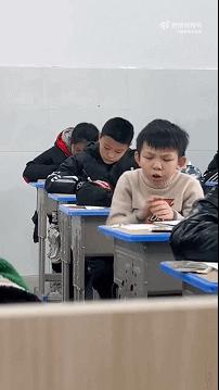 新手为什么不养鳄龟,养了一年的鳄龟怎么一点都不凶