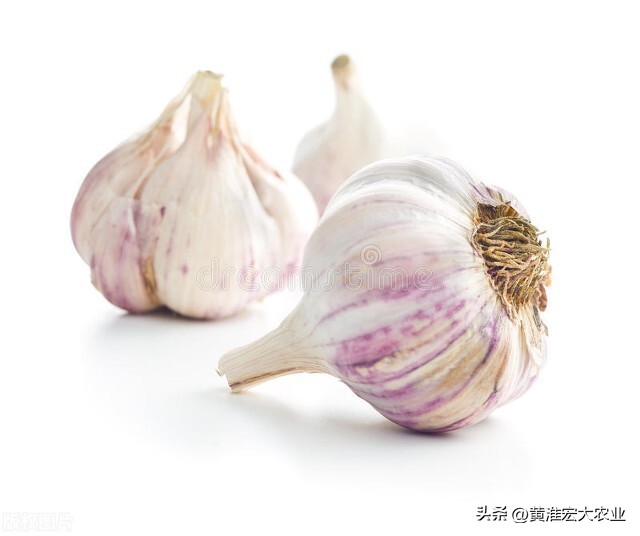 蒜通天下达人连线，关于2022年大蒜市场的一些看法