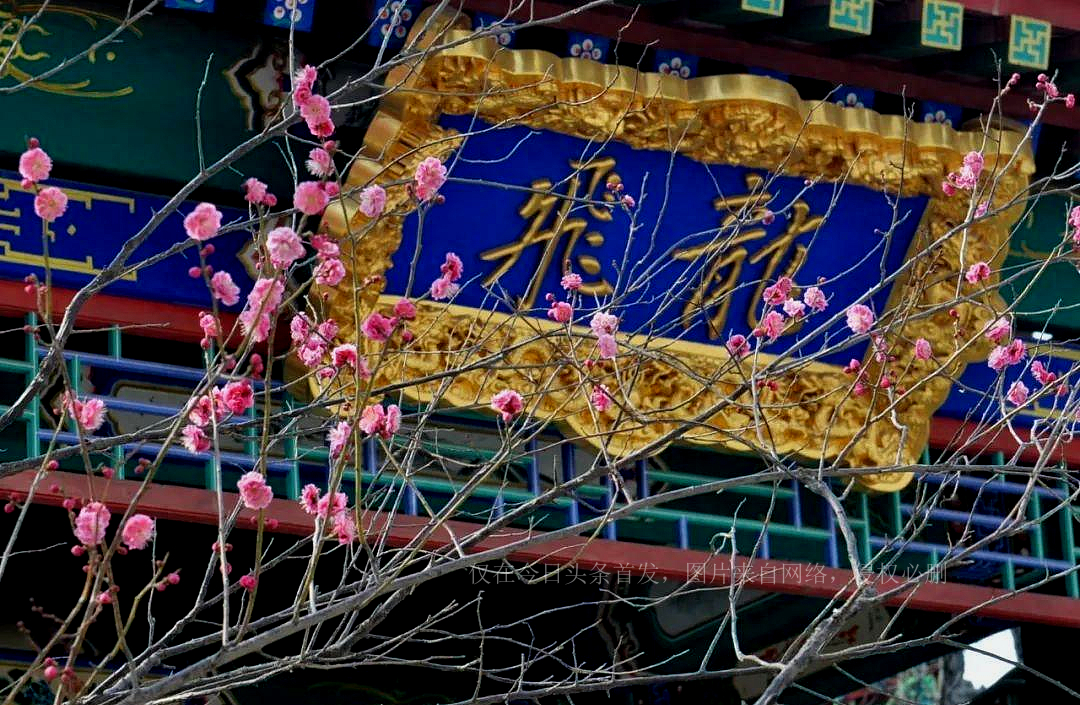 中韩外长于青岛会谈，这仅有04平方公里的“城”引起世界关注