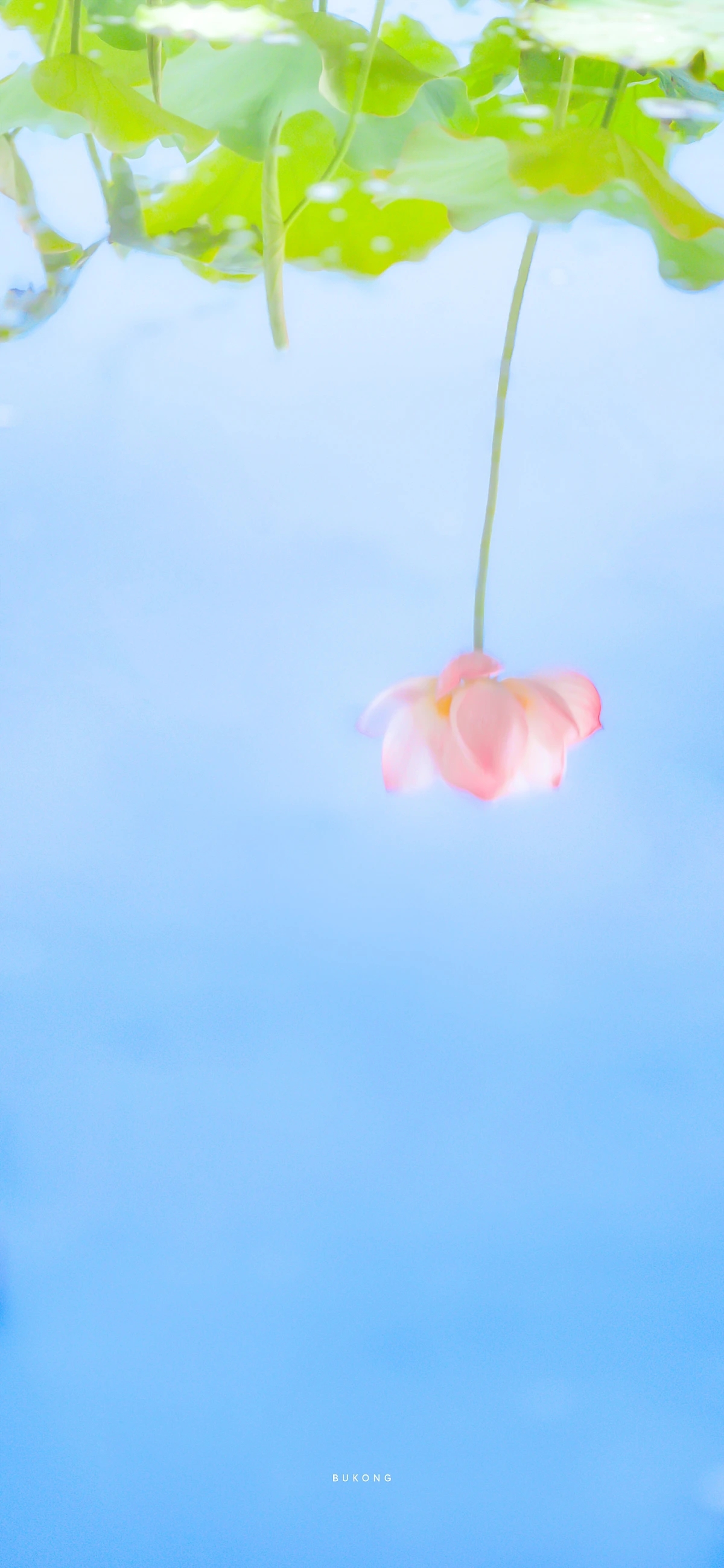 唐诗唯美千古绝句,最美的四季唐诗