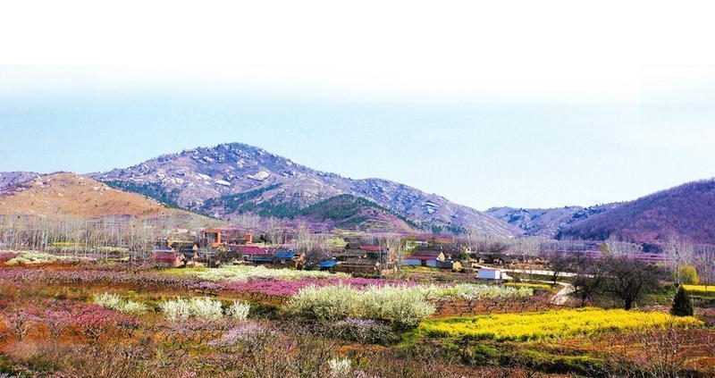 随州唐县镇现在的发展,唐县各乡镇经济实力