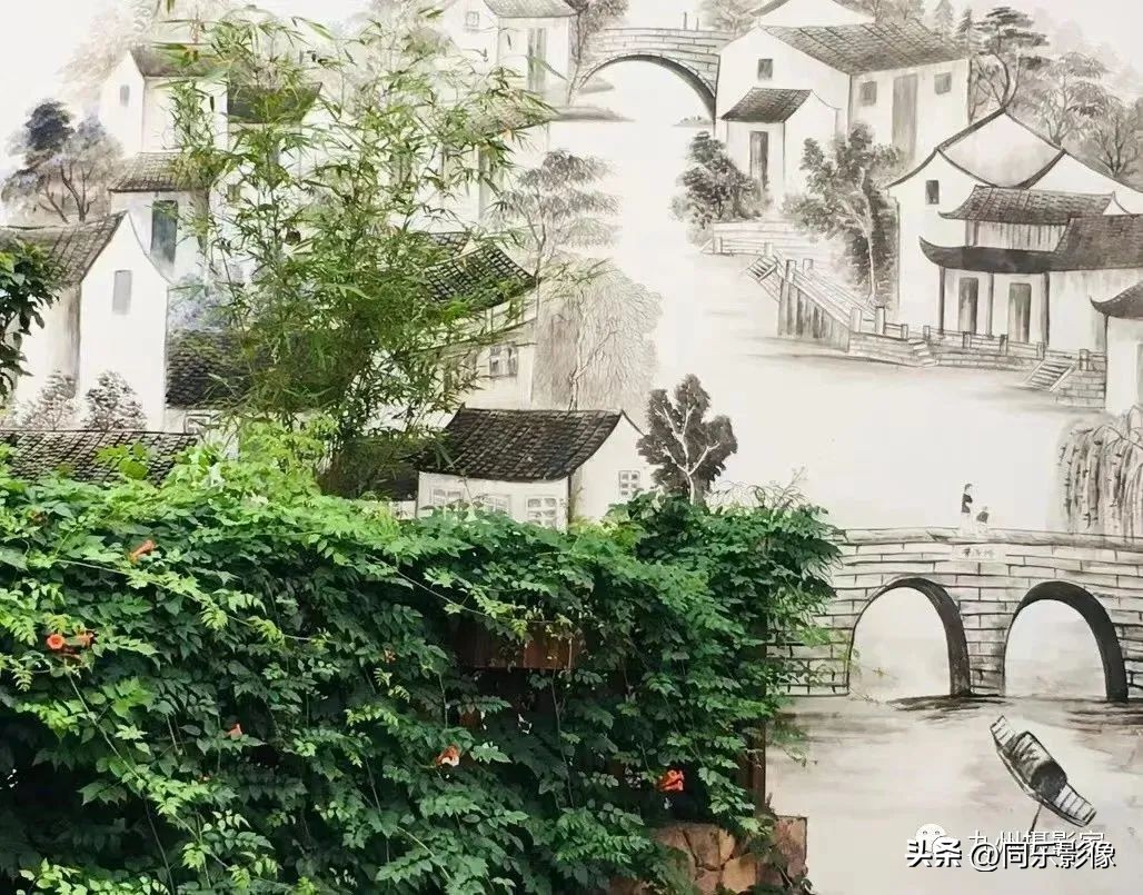 海阔凭鱼跃，天高任鸟飞---九州摄影浙江俱乐部优秀作品展