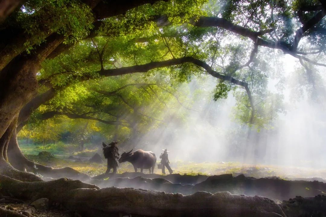 经典山水田园诗,山水田园诗经典10首