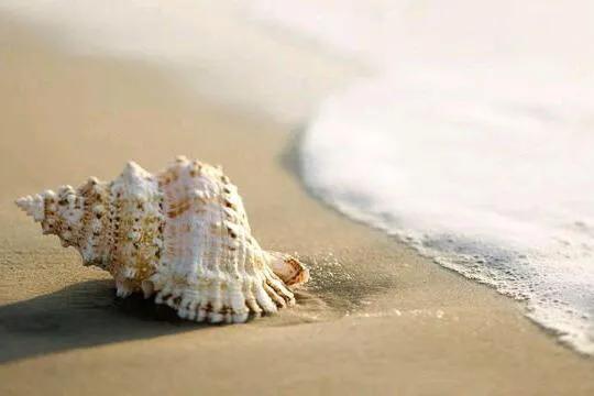 对你说这几句话的男人很爱你,会说这三句话的男人一定很爱你