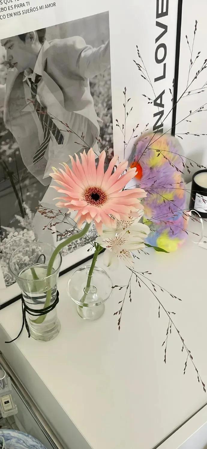 刘同孤独虽败犹荣,刘同经典语录你的孤独虽败犹荣