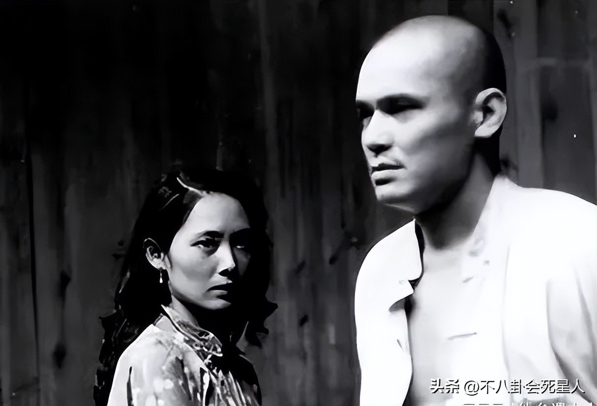 陈数和刘晓庆,干练精致气场强大陈数饰演的角色