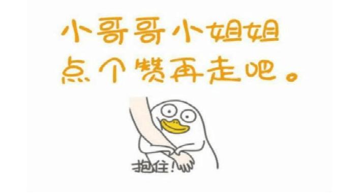 母狗的几个“缺点”，怪不得养过的人想换狗