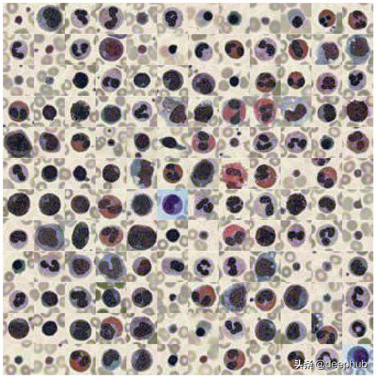 特殊图像的色彩特征工程：非自然图像的颜色编码
