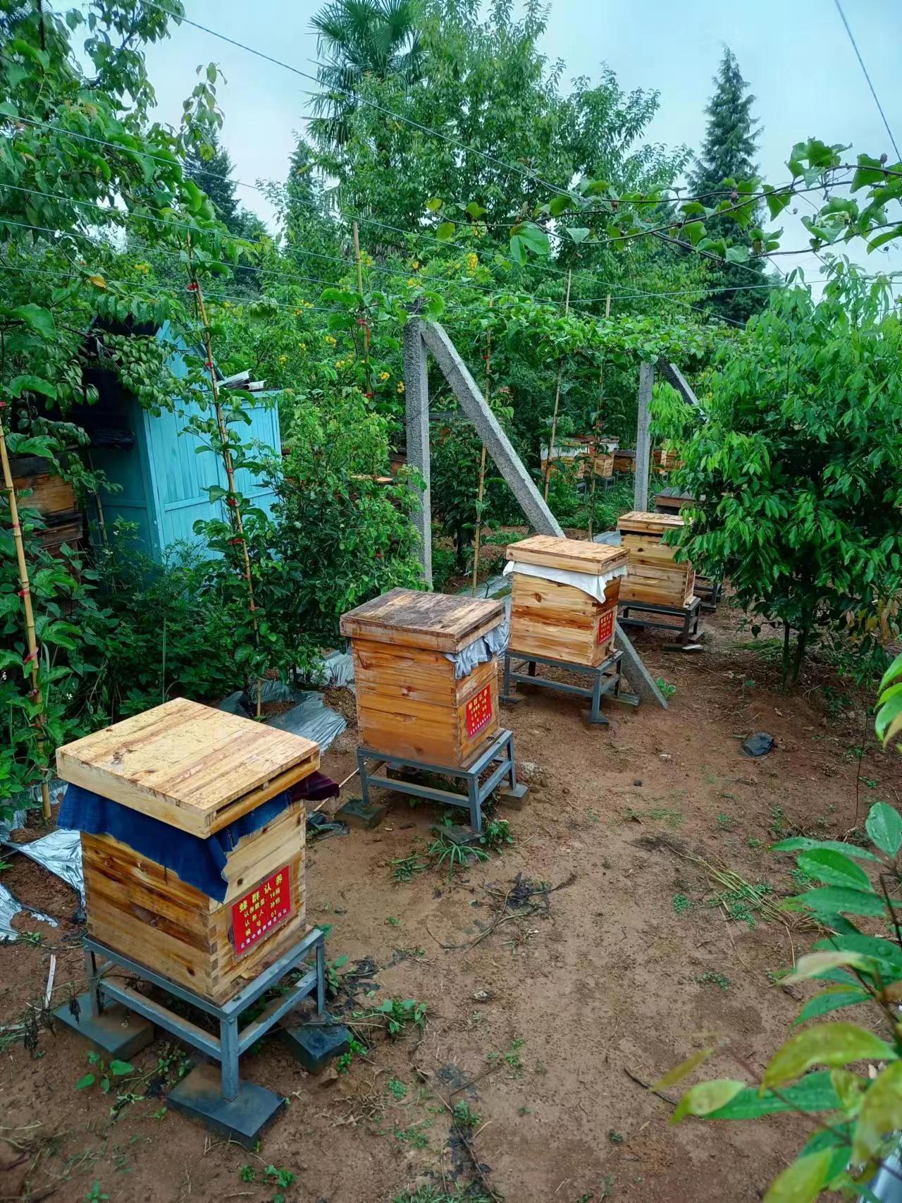 情感与故事，被忽视的蜂产业品牌战略（二）