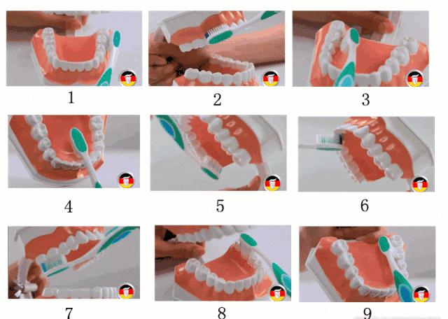 智齿又不长了怎么会顶坏牙,智齿一直长不出来有什么危害