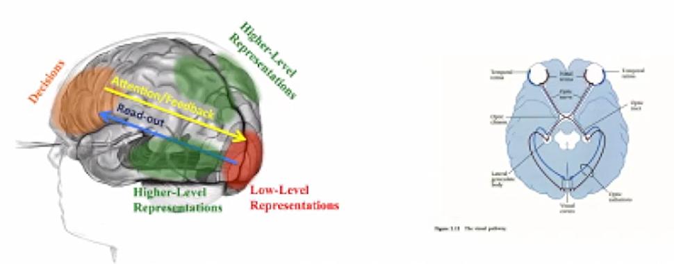 川北医学院附属医院邹云春,眼科教授邹云春