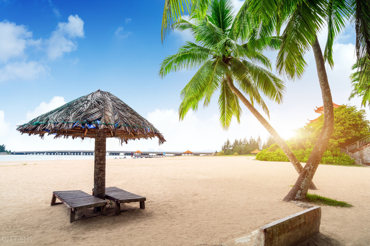 公务员海南自由贸易港补贴多少钱,自由贸易试验区公务员待遇