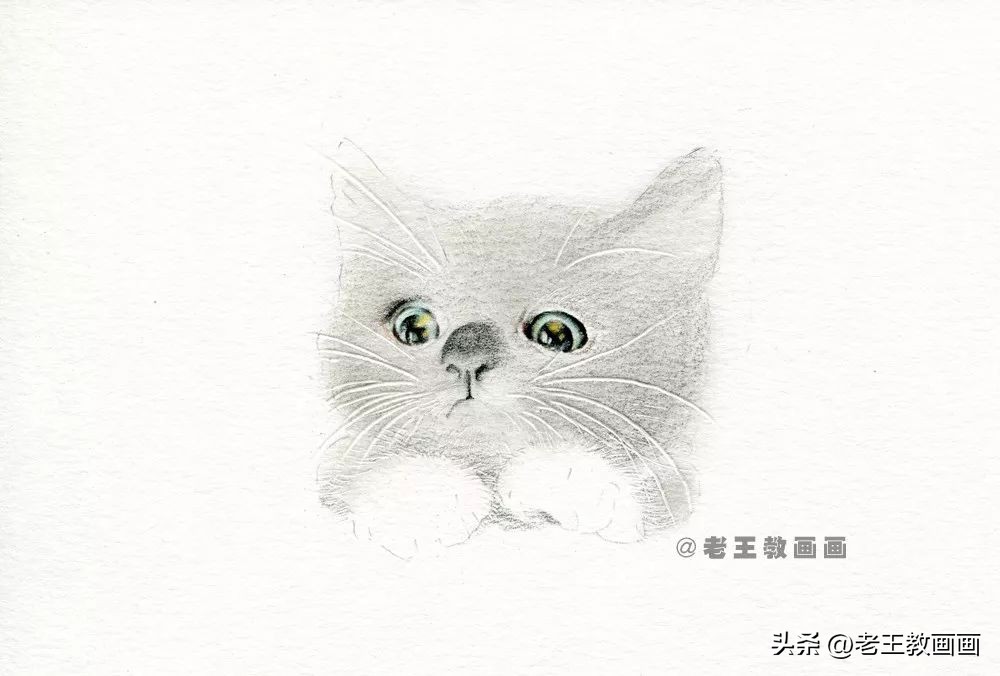 彩铅基础教程，教你画一只小黑猫咪