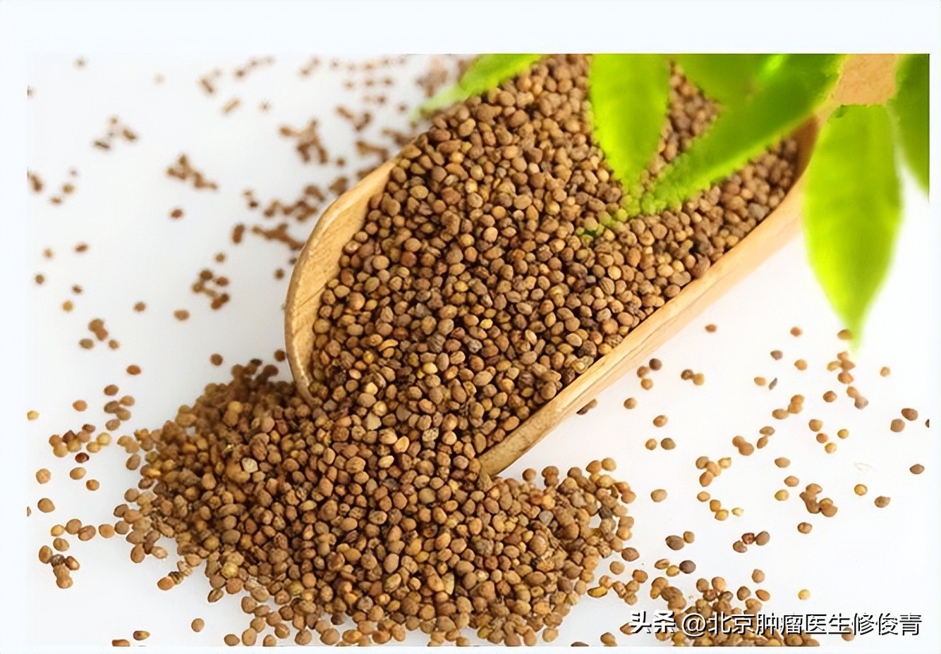 肾虚寒偏方,治疗肾寒的中药经方