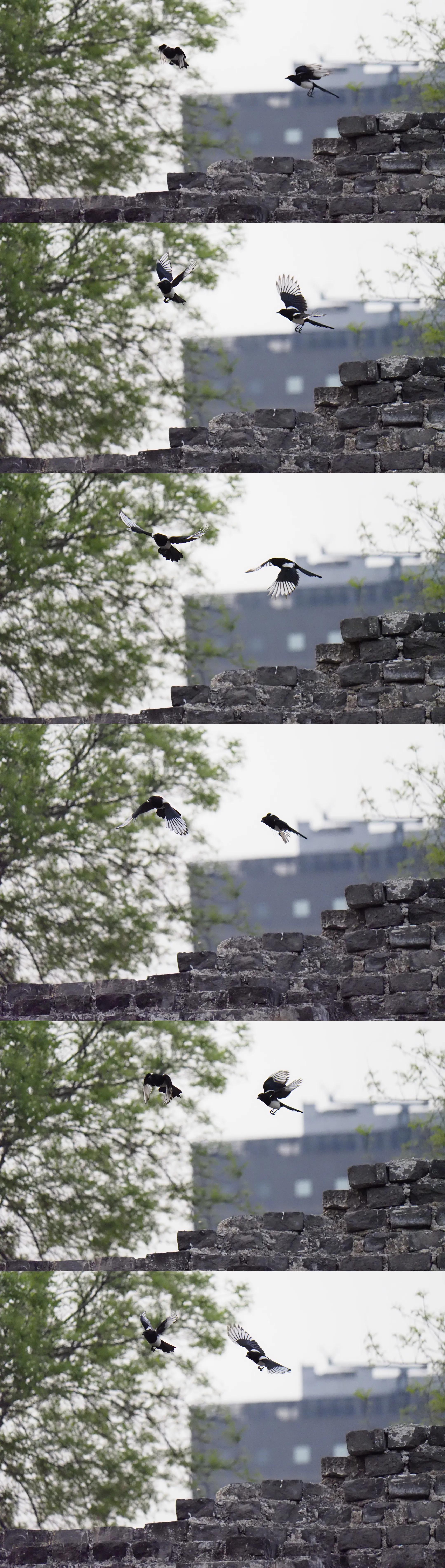 带防抖的长焦镜头500块,防抖长焦镜头推荐500元以下