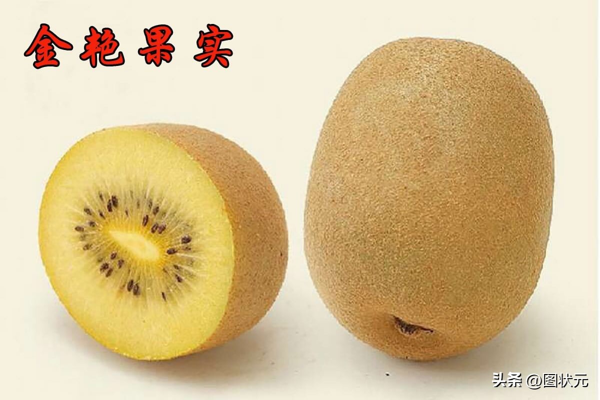 国内最好吃的猕猴桃产地,中国最好吃猕猴桃在哪里