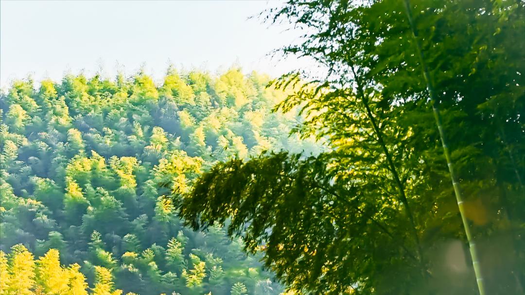 天地有正气杂然赋流形原文,天地有正气杂然赋流形