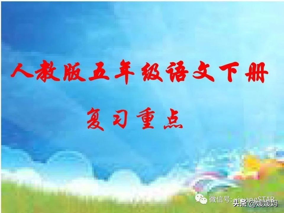 期末复习|五年级下语文各单元考点及专项复习