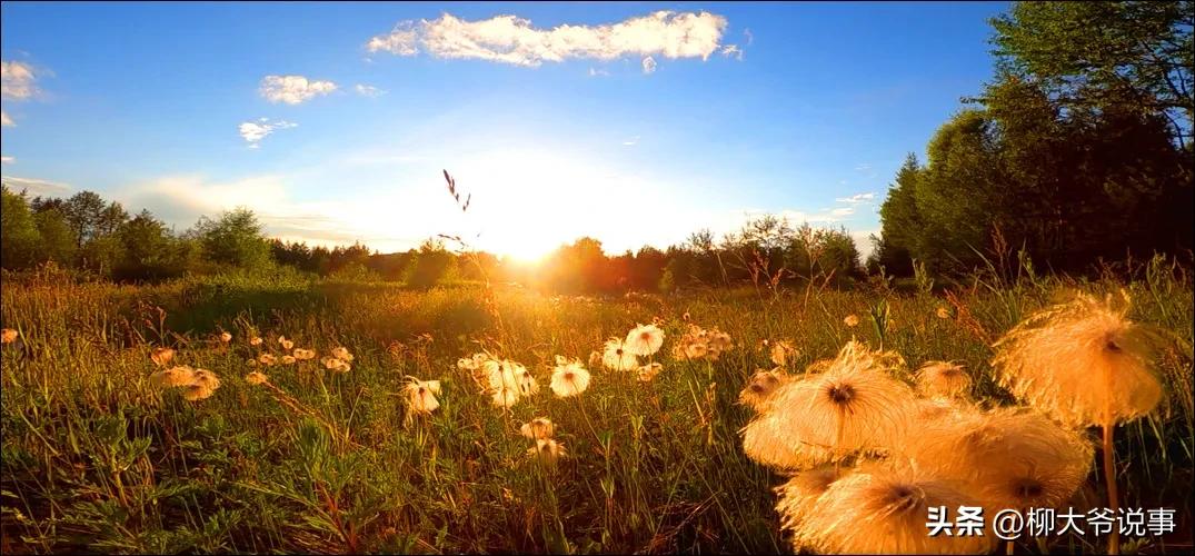 大兴安岭“采山”日赚千元是真的吗？哈尔滨小伙亲自体验结局亮了