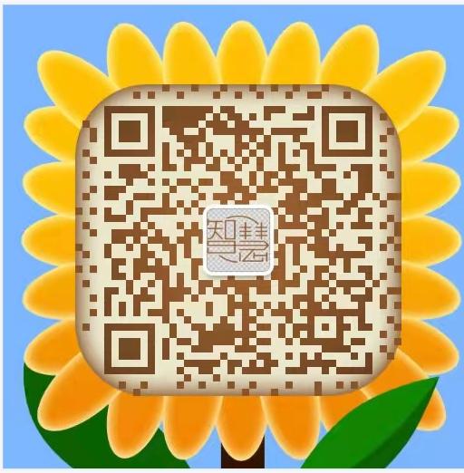 印尼专线海运深圳货仓,印尼物流海运特快专线10-15天