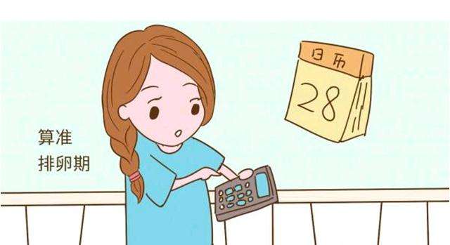 同房最佳时间？关于排卵那些事