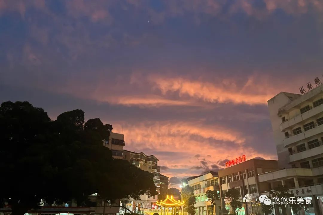 这食材堪称“湿气克星”，不吃肉也要吃它！每天一碗，湿气全扫光