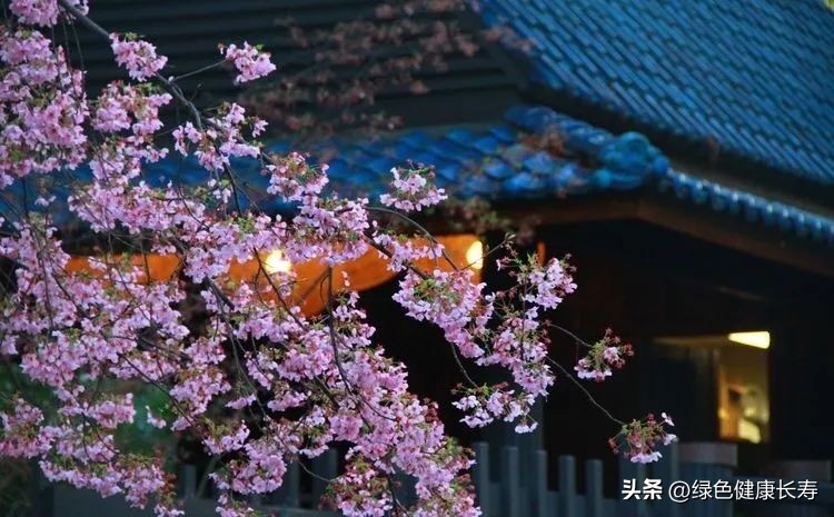 世界花园风景,世界花园