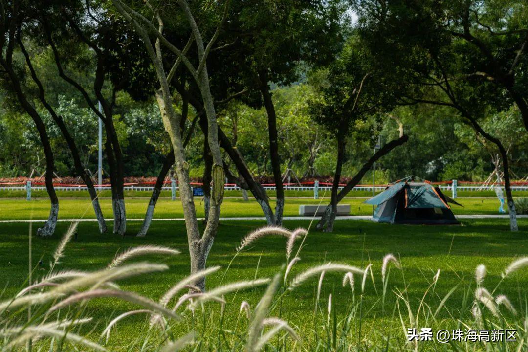 高新附近哪里可以露营,高新区户外露营