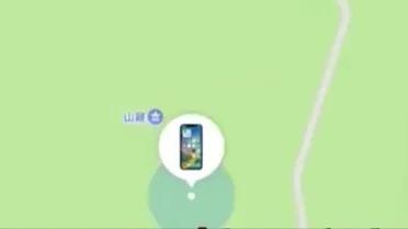 猴子偷走苹果手机照片,猴子捡到苹果手机视频