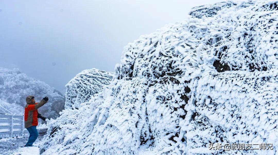 清远金子山旅游攻略看雾凇,广东金子山雪景旅游攻略
