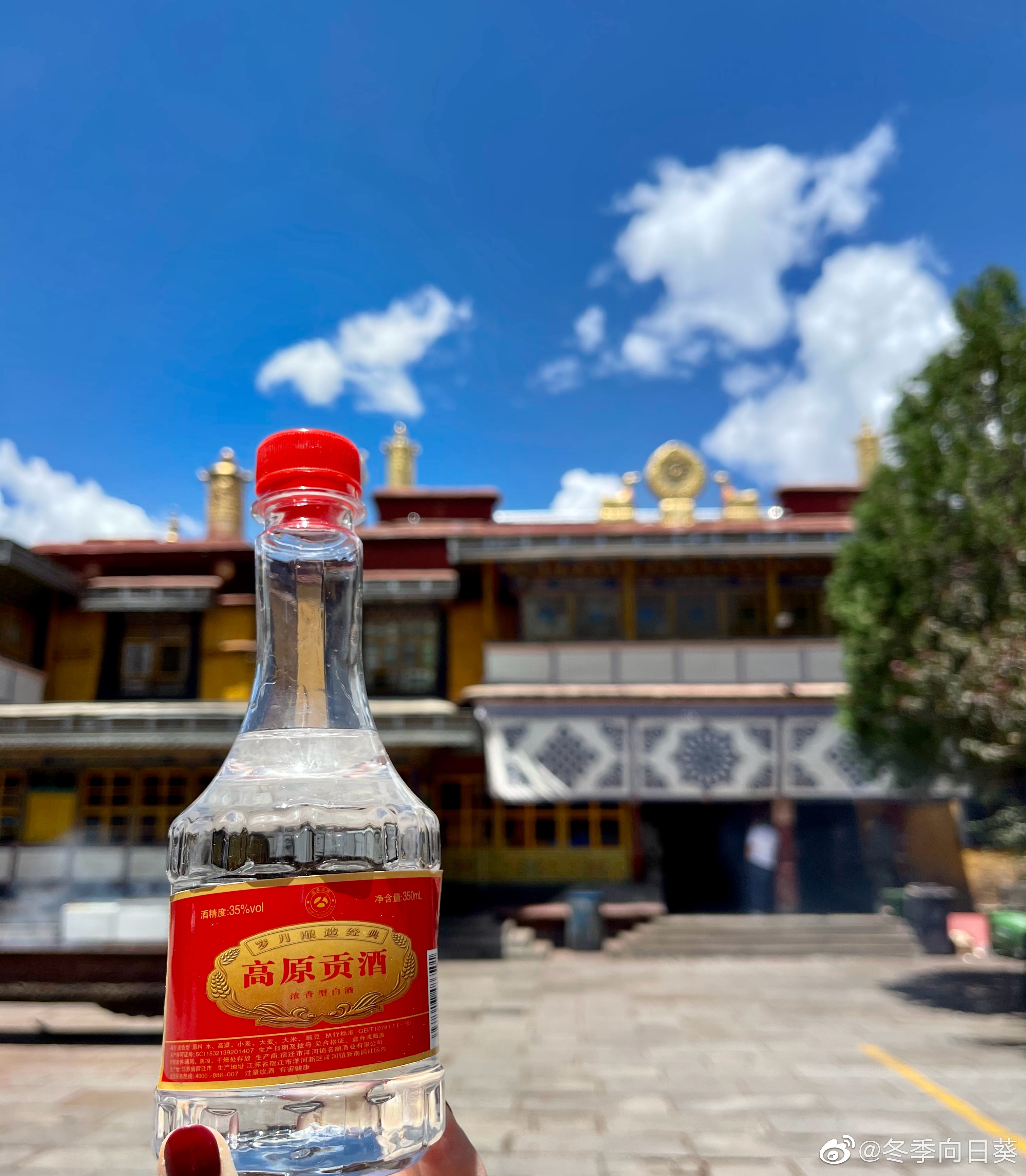 拉萨的什么寺最出名,拉萨有几个最重要的寺庙