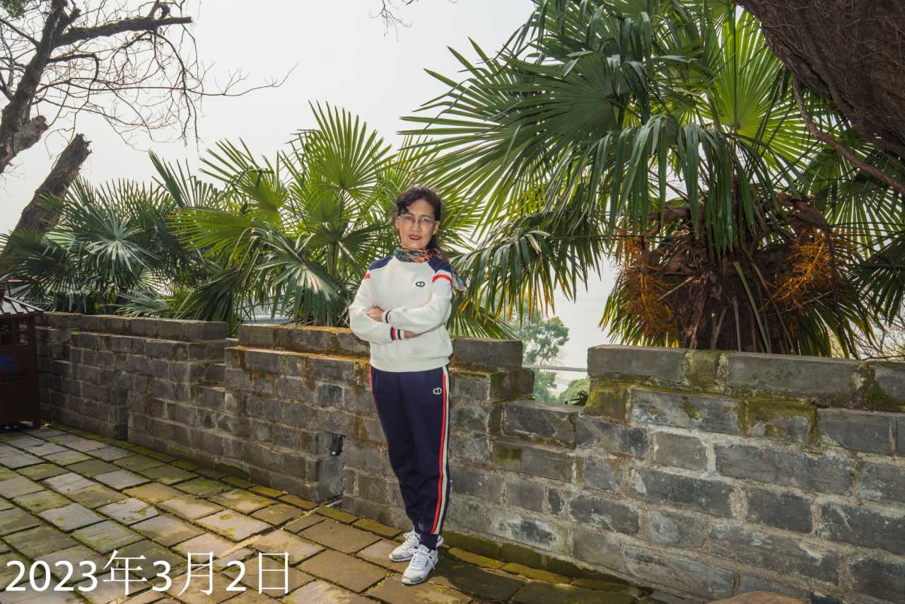 芙蓉镇古镇游记,岳阳楼旅游攻略游记