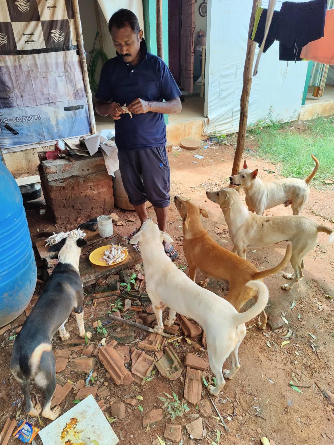 集中营六记,集中营逃亡7年