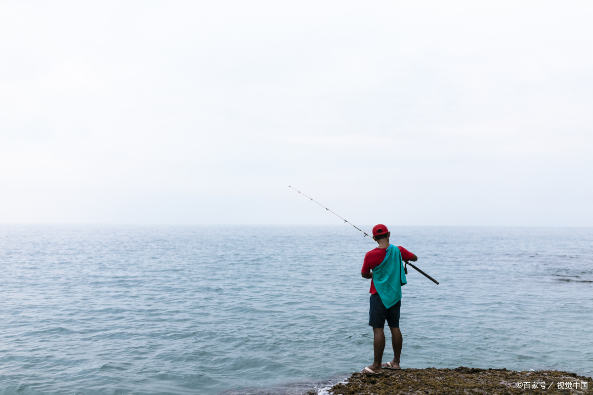 威海威环渔具有限公司鱼竿,威海威渔坊钓具有限公司