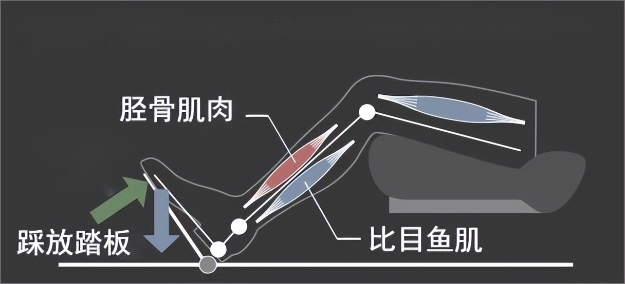 开车踩油门脚总是抽筋,开车小腿抽筋怎么回事