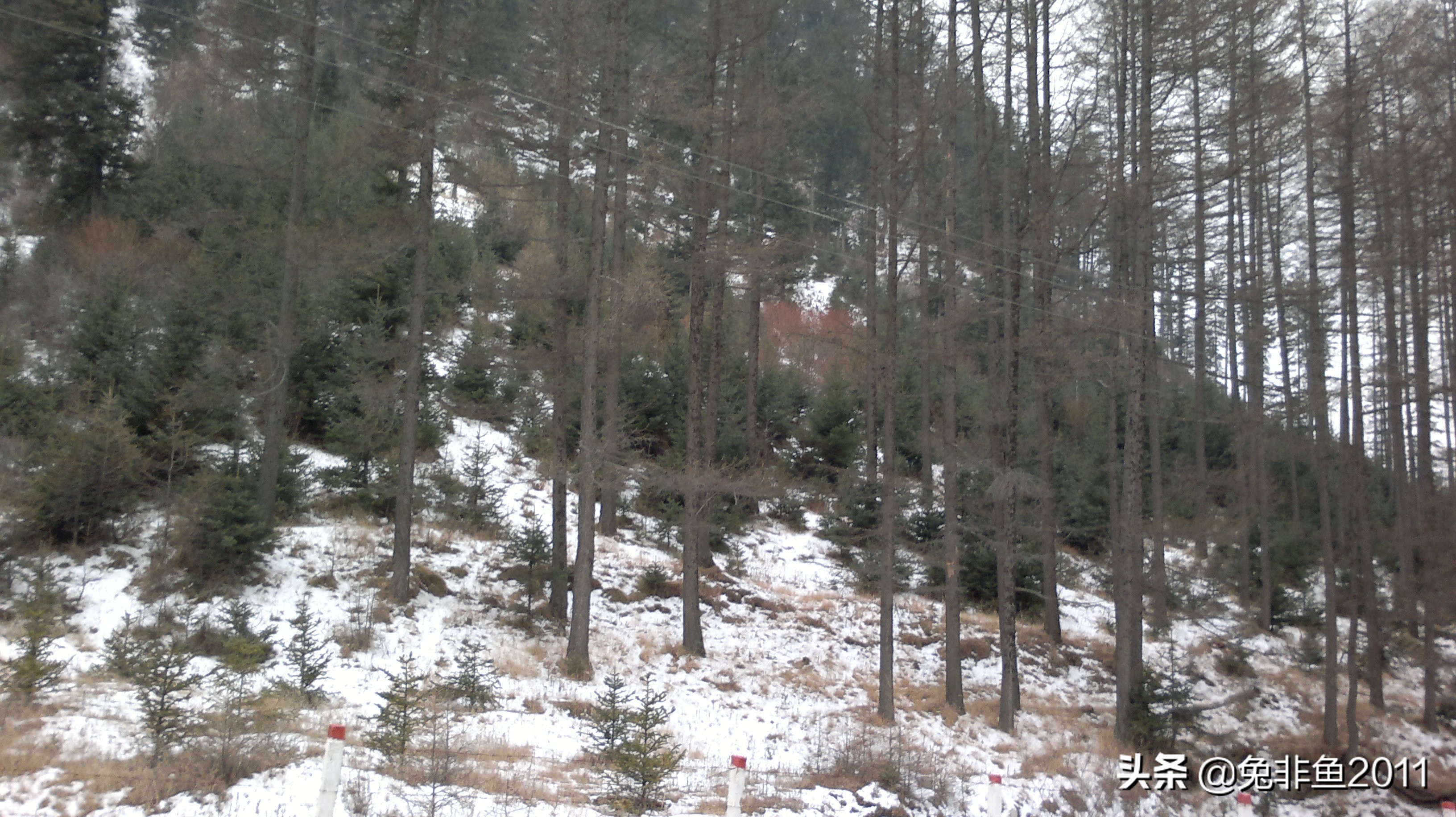 山西冰洞自由行攻略,山西宁武万年冰洞游记