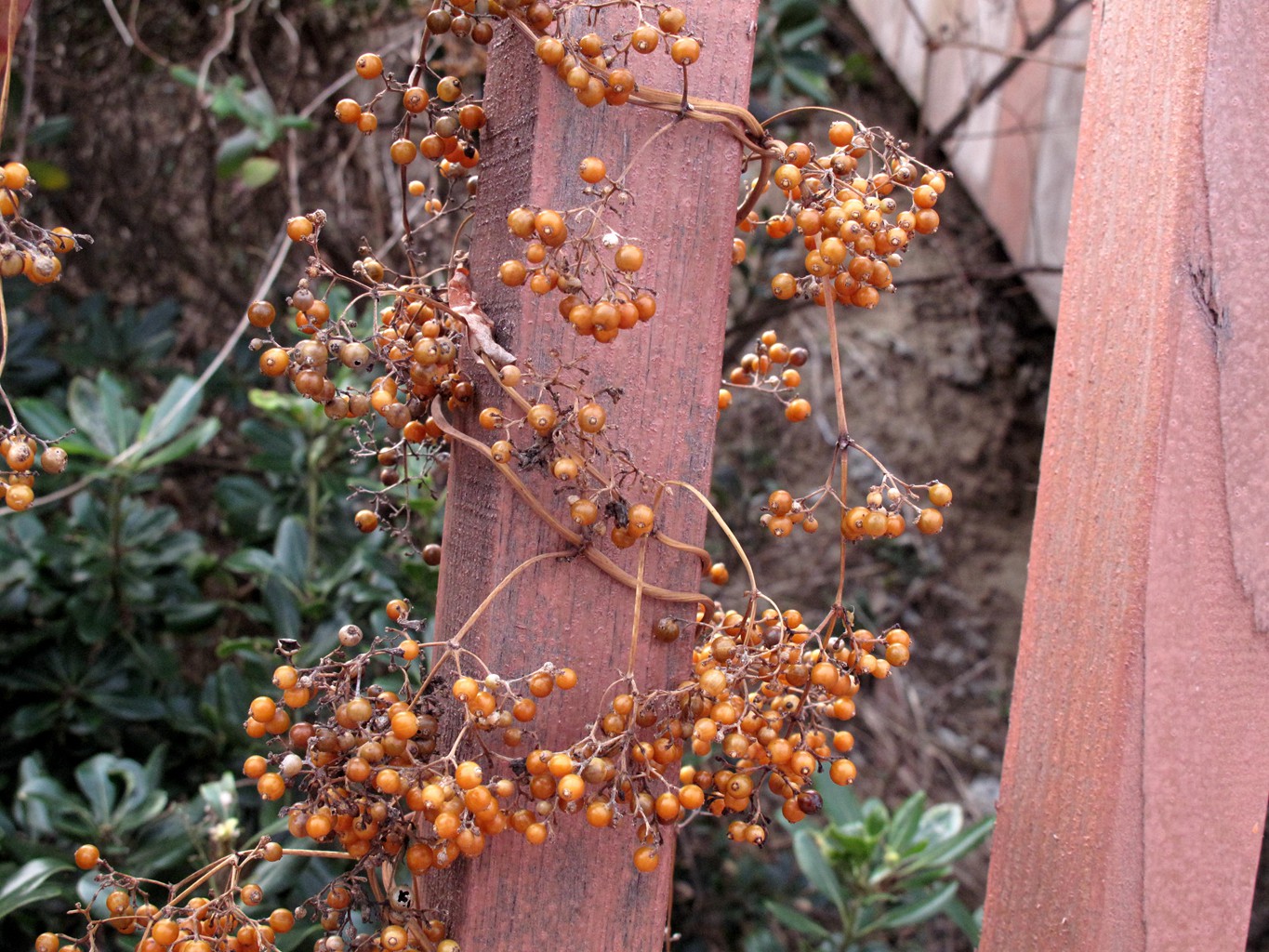 岱山岛为什么叫岱山岛呢,岱山岛定位