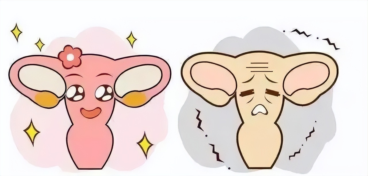 如何延缓生殖器衰老的现象,生殖系统抗衰老方法