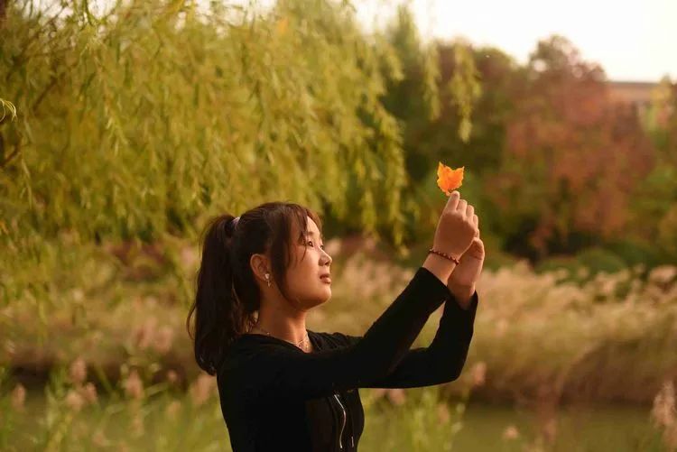 层林尽染的视频号,濮阳医专学历怎么样