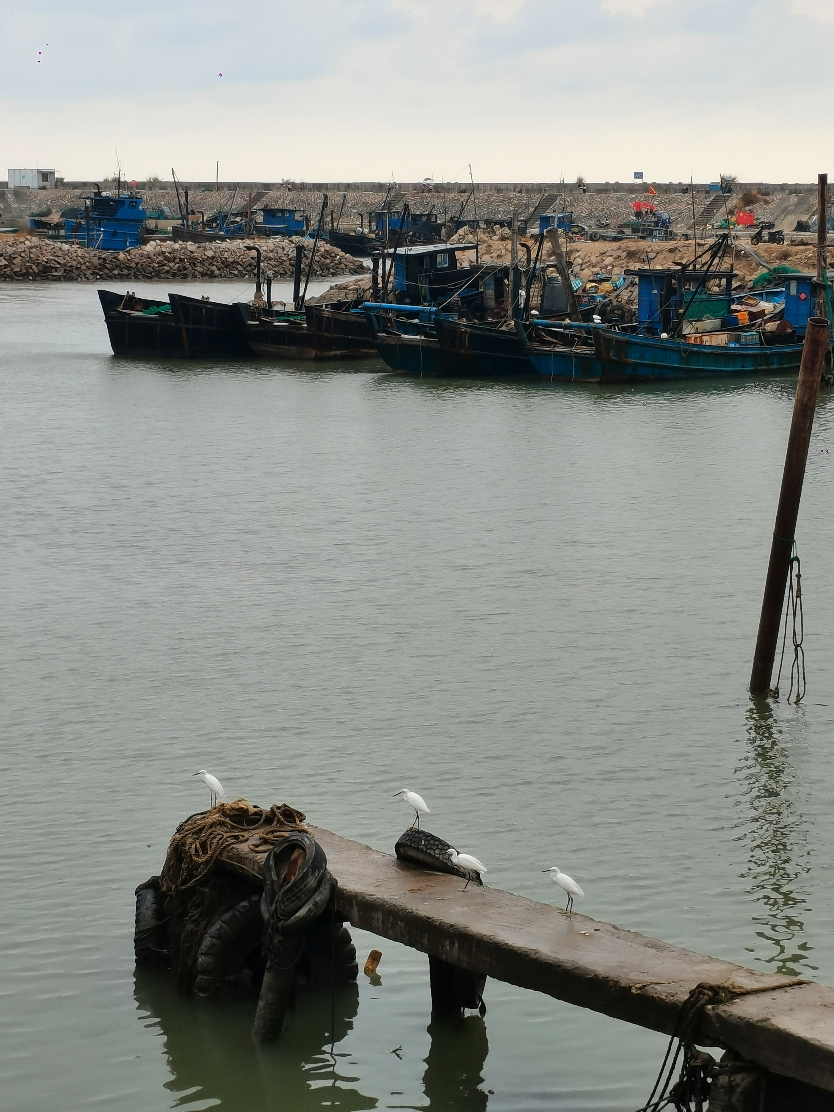 福建长乐漳港：看海、吃海鲜,2022·9·23