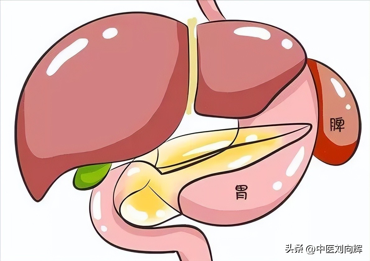 脾胃湿热便秘用什么中药方治,脾胃虚寒湿热伴有便秘