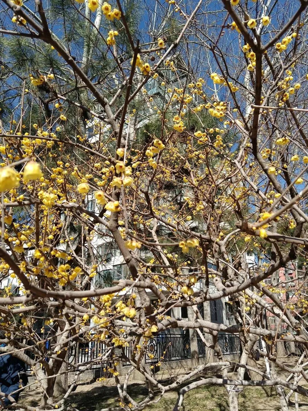 带有涵养的女明星名字,有深意的女明星名字