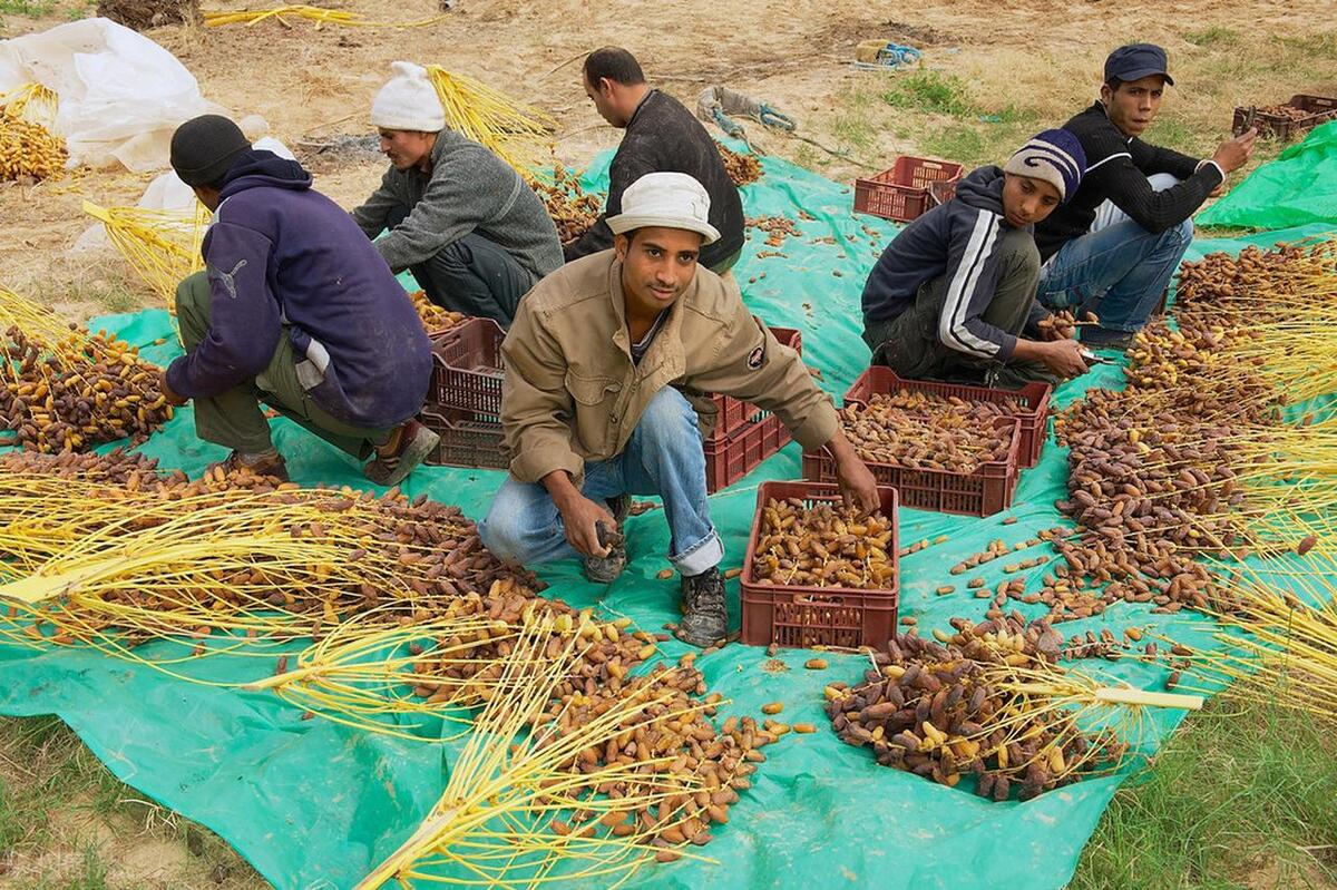 欺人太甚！船到南非，船员的好心行为遭遇女人无故找事，做人太难