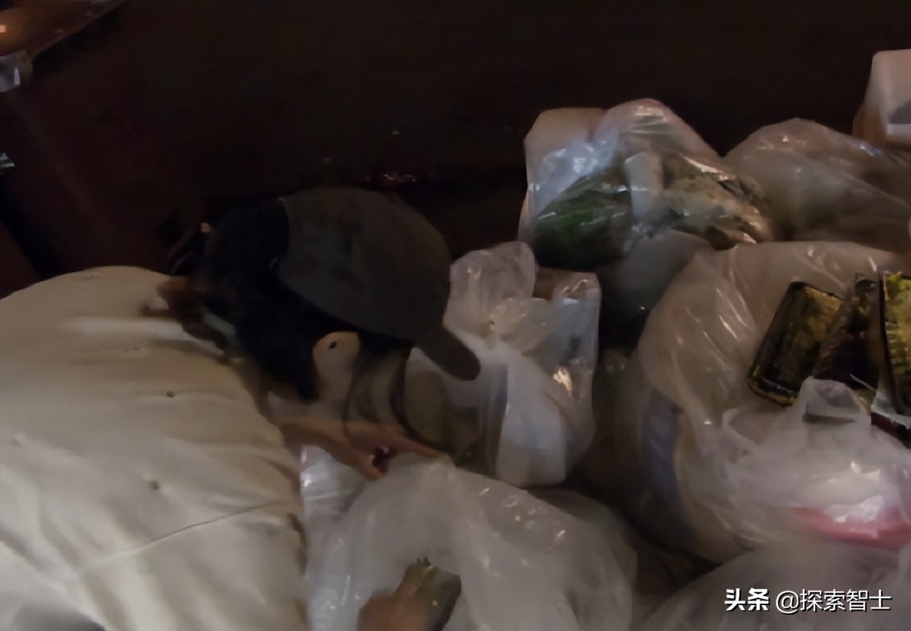 美国女白领20年不买内衣，厕纸晒干重复用，吃的全靠捡，纽约买房