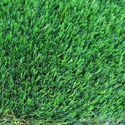 高质量的人造草坪,鑫瑞雅人造草坪