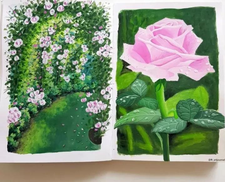 简单好看的画星空大海水粉,如何画简单的植物水粉颜料画