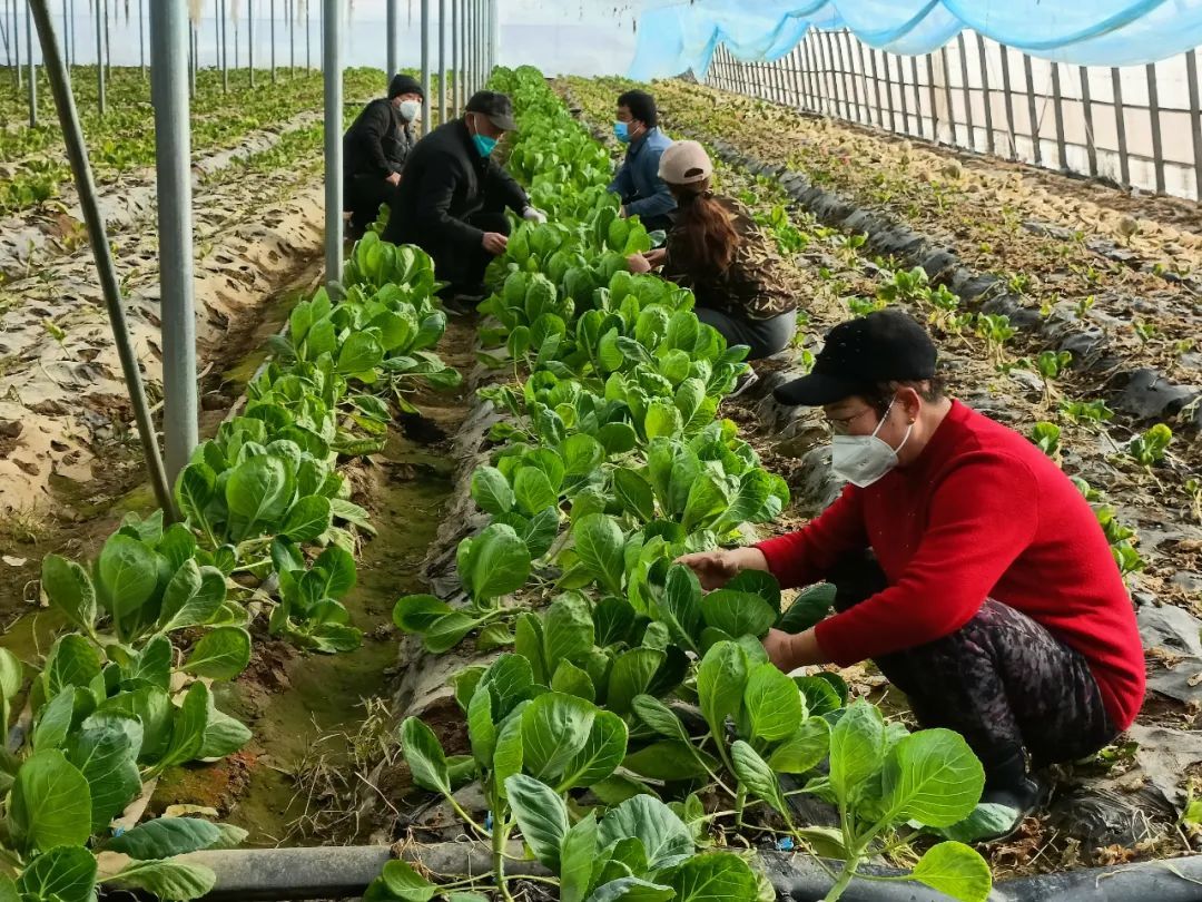 邀您来看，冬日里的“致富经”~