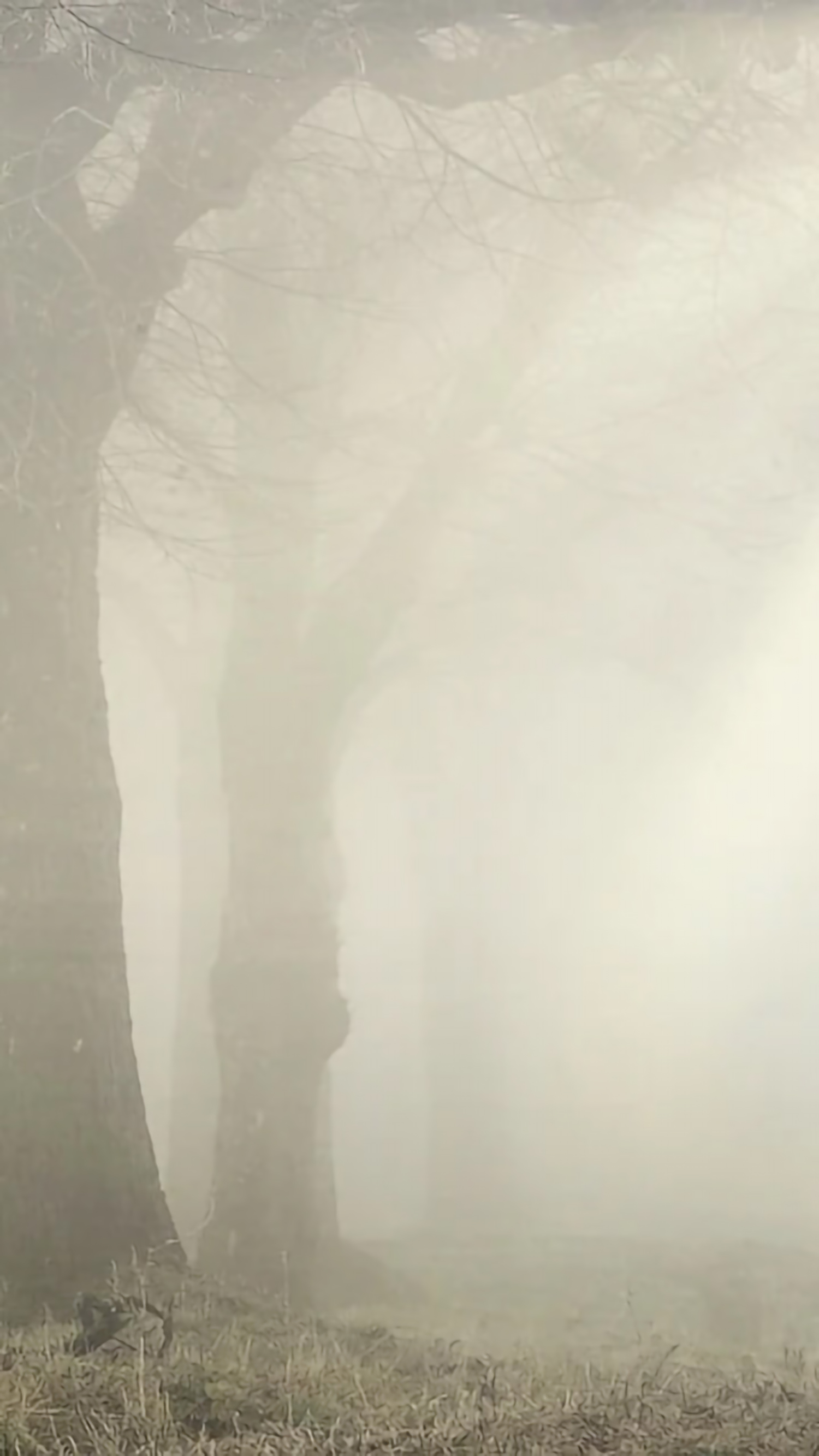 好看的手机桌面壁纸和锁屏壁纸,总有一张壁纸适合你手机屏保精选