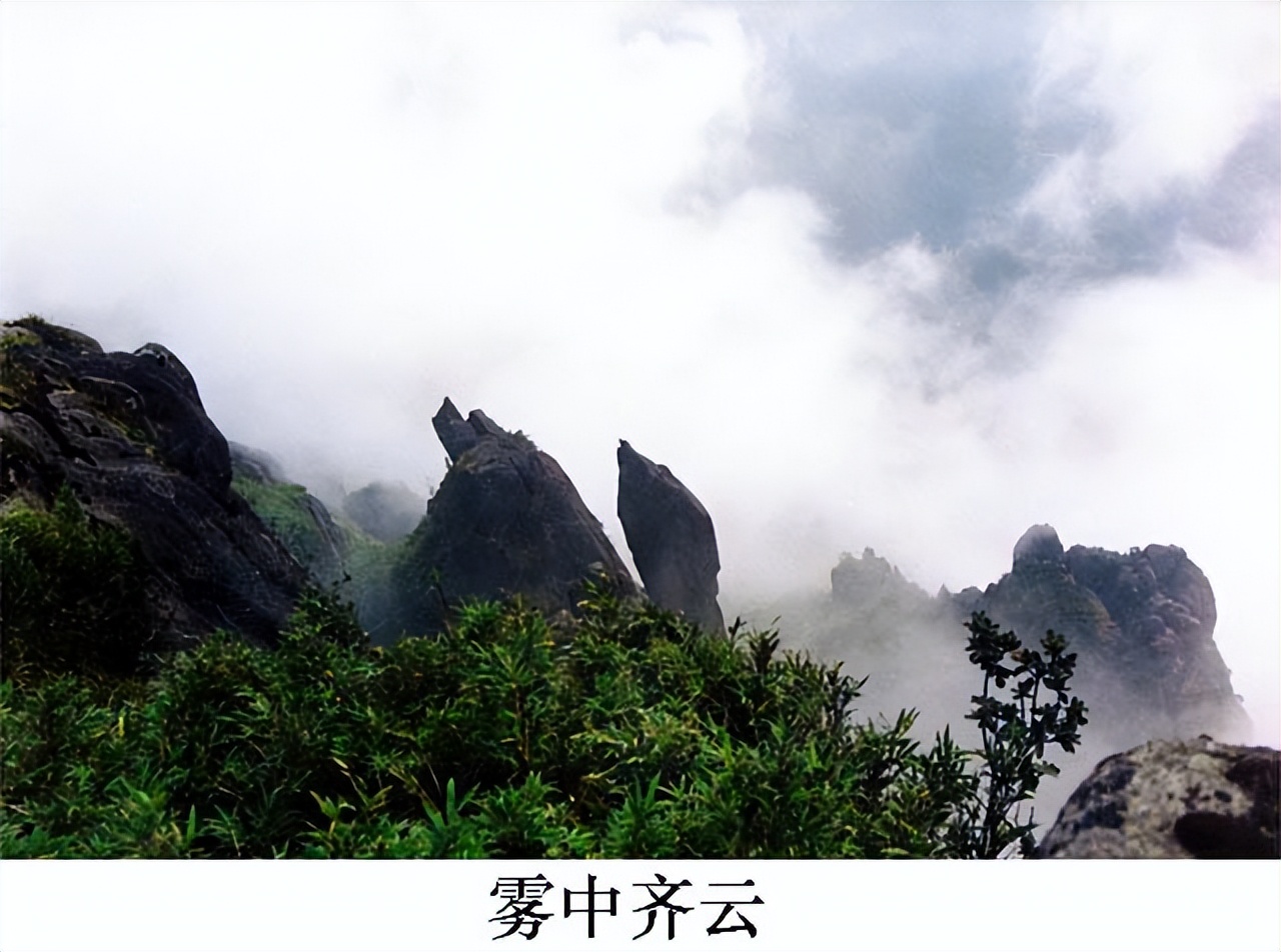 与龙虎山齐名的山,鹤鸣山和龙虎山谁是道源